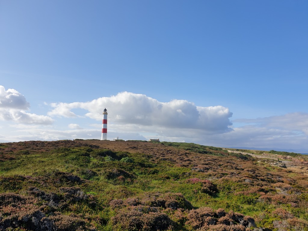 Tarbat Ness Lighthouse &&nbsp;Walk