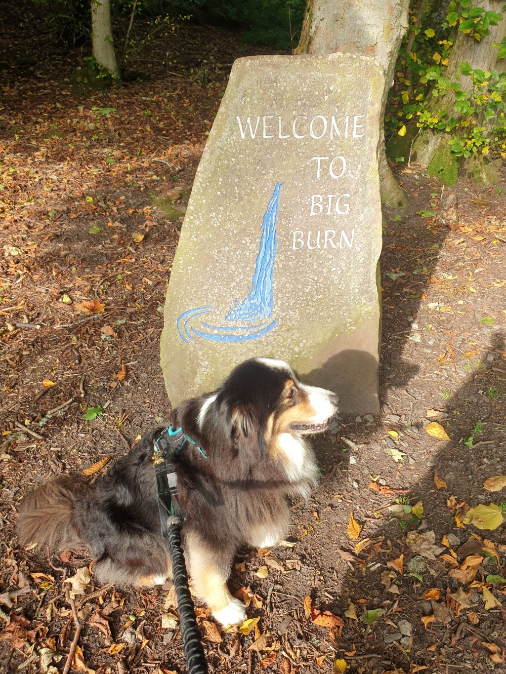 The Big Burn Walk –&nbsp;Golspie