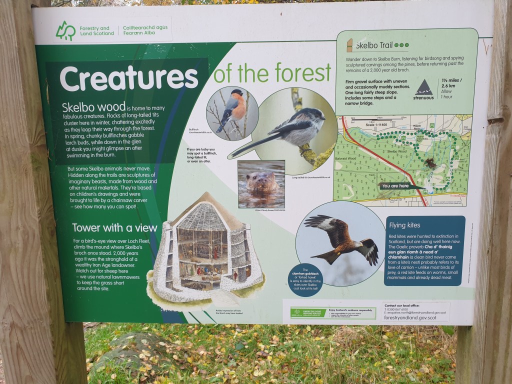 Skelbo Woods Walk