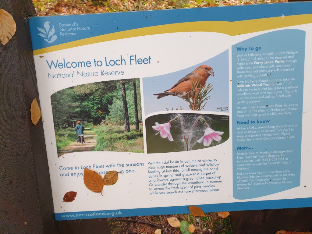 Loch Fleet Nature Reserve&nbsp;Walk