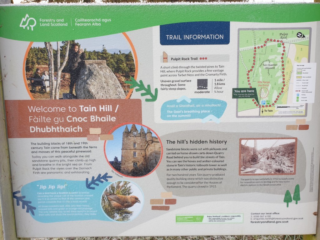 Tain Hill and the Morangie Forest&nbsp;Walk