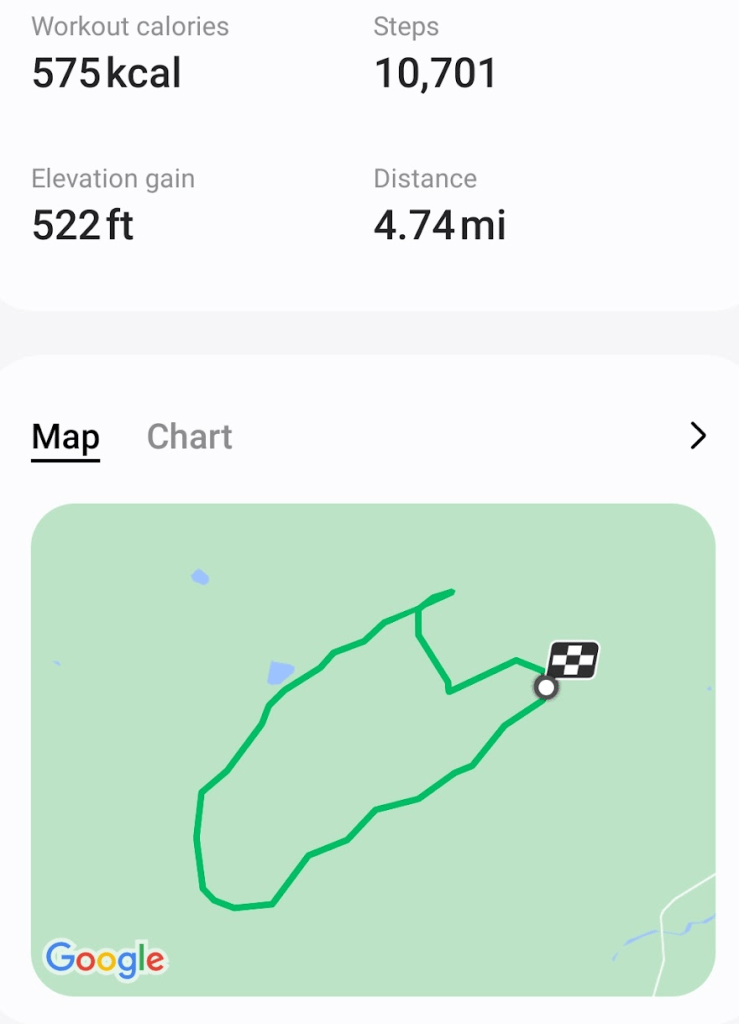 sceenshot of walk tracker 